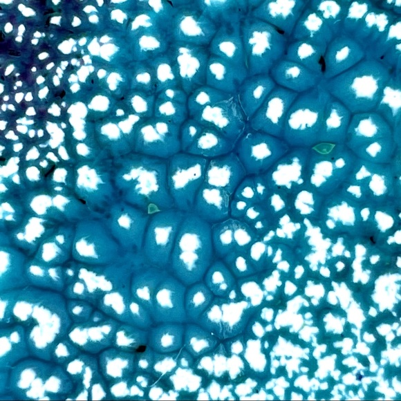 Vintage Enamelled Copper Trinket Dish - Picture 11 of 15